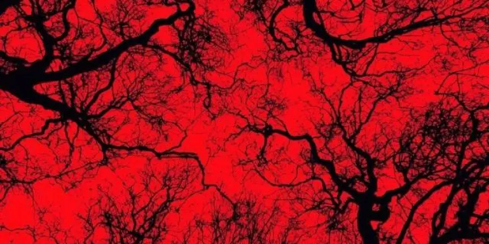 Imagem do grupo de WhatsApp 𝐅𝐢𝐥𝐡𝐨𝐬 𝐝𝐞 𝐐𝐮𝐢𝐦𝐛𝐚𝐧𝐝𝐚