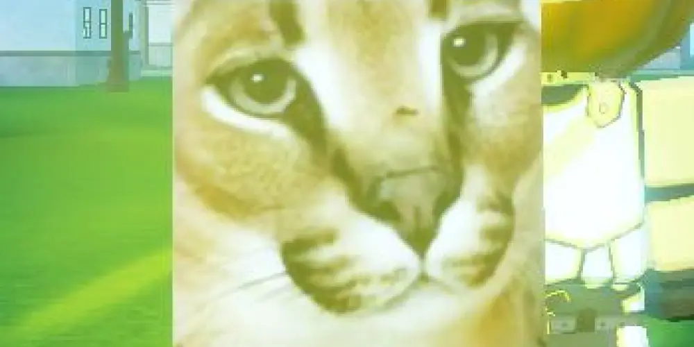 Imagem do grupo de WhatsApp 𝓜𝓮𝓶𝓮 𝓢𝓮𝓪