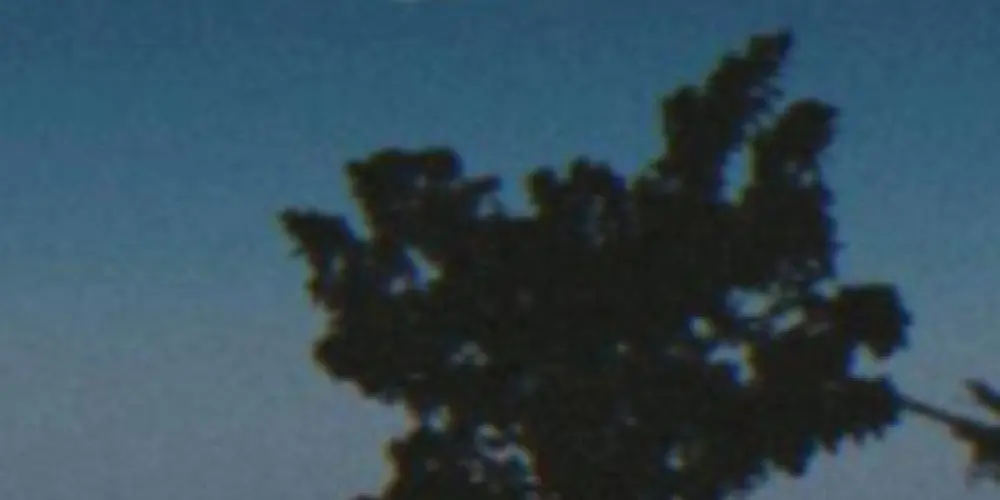 Imagem do grupo de WhatsApp 𝙰𝙼𝙸𝚉𝙰𝙳𝙴  𝙴𝚃𝙴𝚁𝙽𝙰🌎