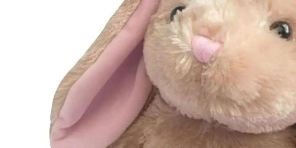 Imagem do grupo de WhatsApp ◟         𝖺𝗆𝗈𝗎𝗋         ♡