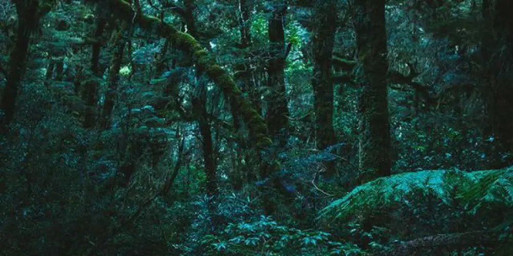 Imagem do grupo de WhatsApp 🌘🅰️𝐌𝐄𝐑𝐈𝐂𝐀➪𝐌𝐈𝐋𝐙𝐎𝐀𝐒❤‍🩹