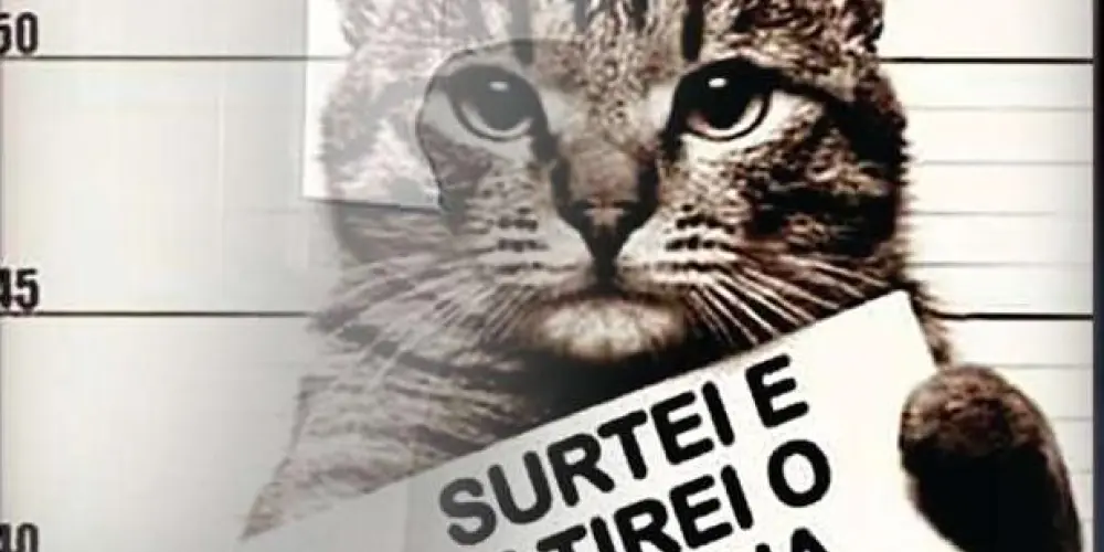 Imagem do grupo de WhatsApp ａｍｉｚａｄｅㅤａｑｕｉ