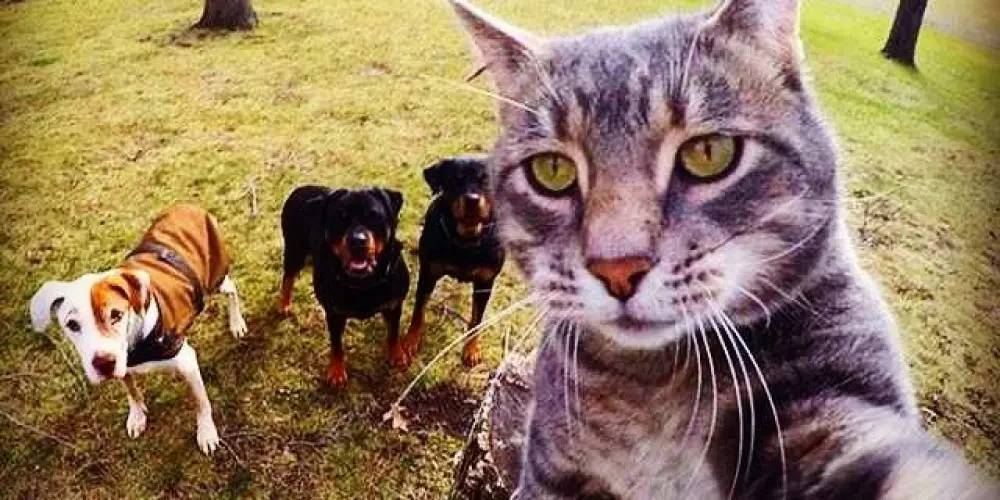 Imagem do grupo de WhatsApp 卂爪丨乙卂ᗪ乇丂 👻✌️