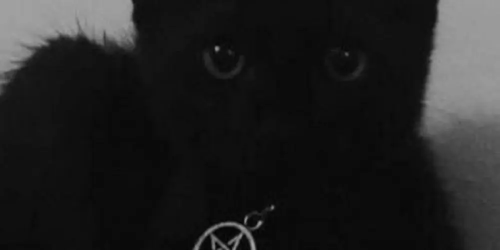 Imagem do grupo de WhatsApp 🇦🇱⃠⃟𝐈𝐌𝐏𝐄𝐑𝐈𝐀𝐋 𝐊𝐈𝐍𝐆'𝐒