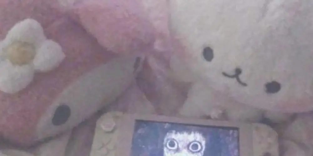 Imagem do grupo de WhatsApp ∴❈═𝚜𝚕𝚊𝚞𝚐𝚑𝚝𝚎𝚛𝚑𝚘𝚞𝚜𝚎═❈∴