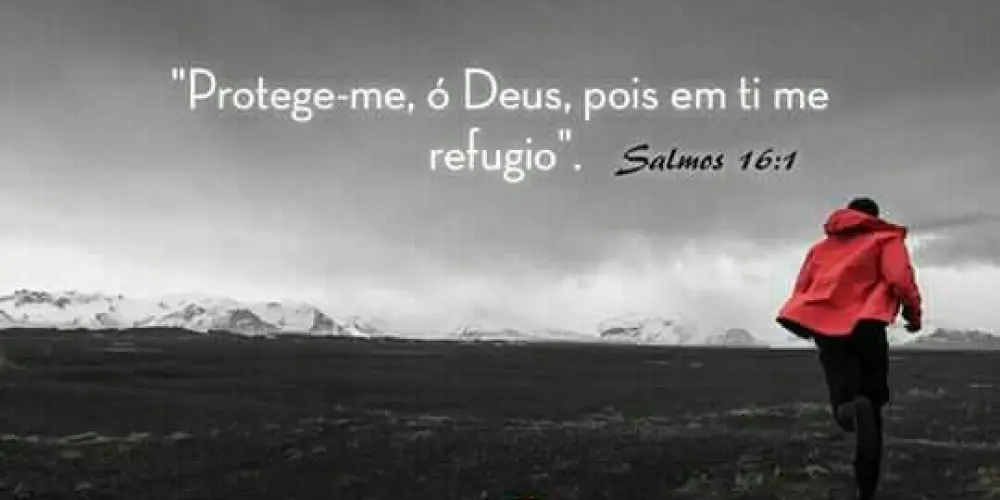 Imagem do grupo de WhatsApp 🅾🆂    🅴 🆂 🅲 🅾 🅻 🅷 🅸 🅳 🅾🆂