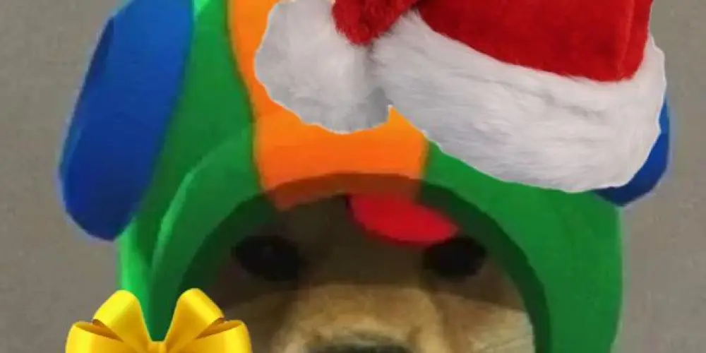 Imagem do grupo de WhatsApp 🦎𝐁𝐚𝐛𝐲𝐬 𝐋𝐞𝐨𝐧🦎