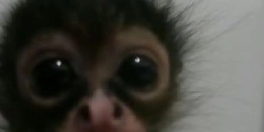 Imagem do grupo de WhatsApp 𝑺𝑚𝑜𝑲𝑒𝑠 -674