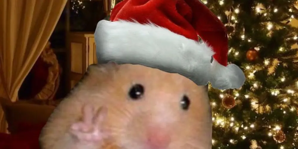 Imagem do grupo de WhatsApp ✨🎄🎅🏻𝕭𝖚𝖓𝖓𝖞𝖘🎅🏻🎄✨