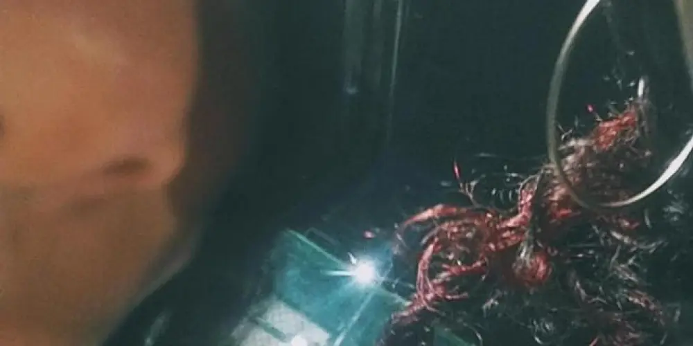 Imagem do grupo de WhatsApp ★⏤͟͟͞͞𝑺𝒕𝒂𝒓𝒔 𝒂𝒏𝒅 𝒄𝒐𝒇𝒇𝒆𝒆⏤͟͟͞͞★