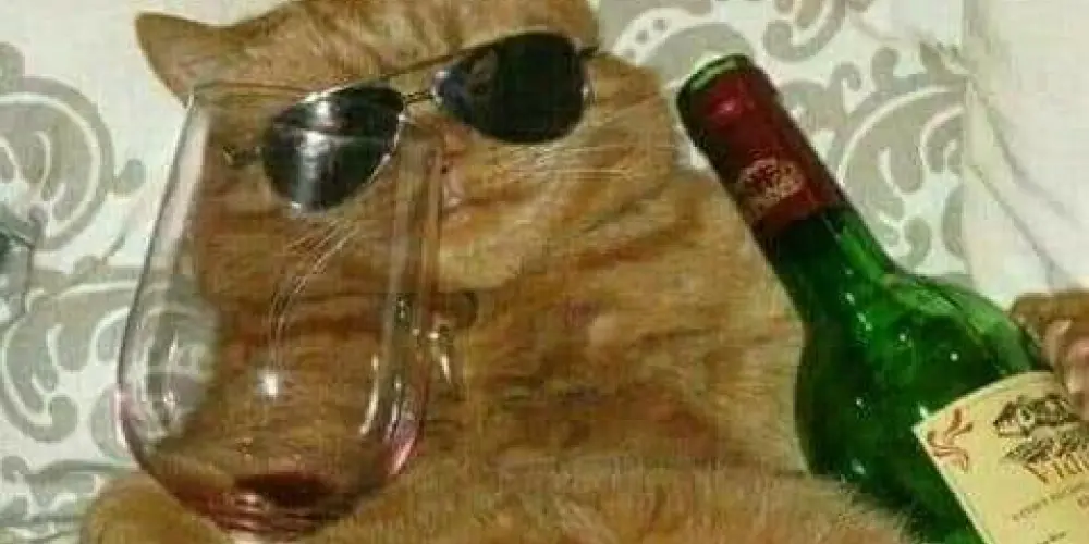 Imagem do grupo de WhatsApp 𝕱𝖚𝖉𝖎𝖉𝖔𝖘 𝖊 𝖀𝖓𝖎𝖉𝖔𝖘..