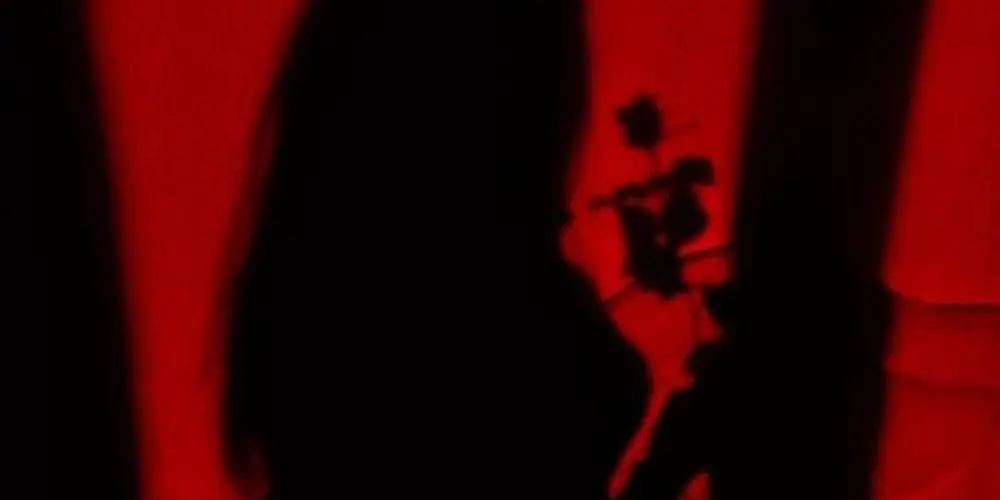 Imagem do grupo de WhatsApp 🔥🌹𝕽𝖊𝖉 𝕾𝖕𝖆𝖗𝖗𝖔𝖜𝖘❣️🔥