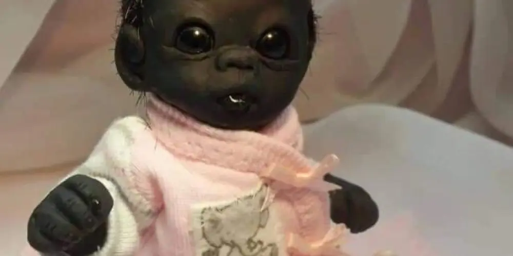 Imagem do grupo de WhatsApp 𝙉𝙤𝙫𝙖 𝙊𝙧𝙙𝙚𝙢👺