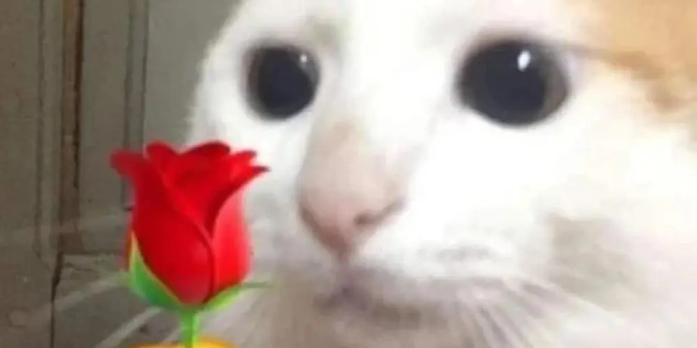 Imagem do grupo de WhatsApp 𝐆𝐫𝐮𝐩𝐢𝐧𝐡𝐮 👾