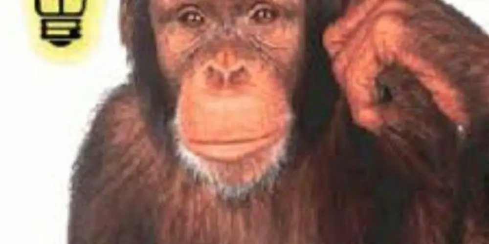 Imagem do grupo de WhatsApp ᴊᴀɴ ɴɪɢɢᴀ🦍