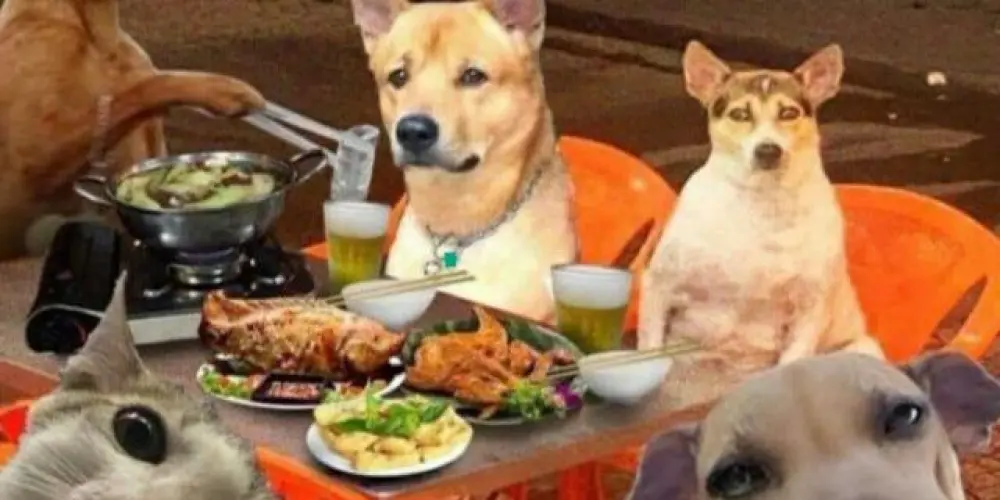 Imagem do grupo de WhatsApp 𝕮𝖆𝖘𝖆 𝖉𝖔𝖘 𝕯𝖔𝖊𝖓𝖙𝖊𝖘