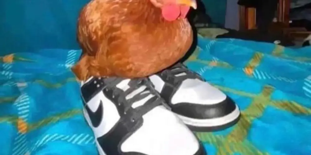 Imagem do grupo de WhatsApp ❦ 𝑻•𝑯𝒖𝒃 𖤍