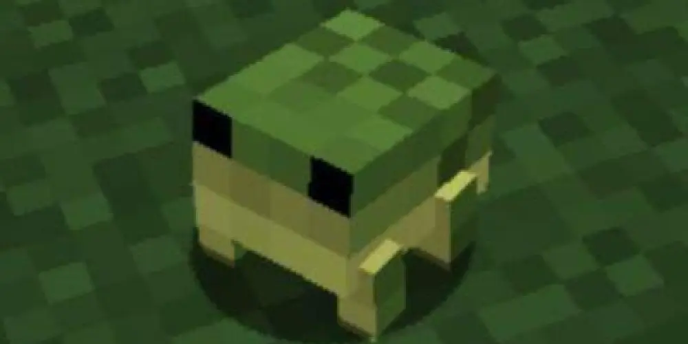 Imagem do grupo de WhatsApp ⫷Ｍｉｎｅ ＢＲ 🇧🇷⫸