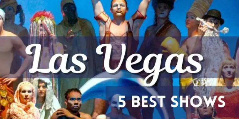 Imagem do grupo de WhatsApp ⤉🌴𝐋𝐀𝐒 𝐕𝐄𝐆𝐀𝐒🌴⤈