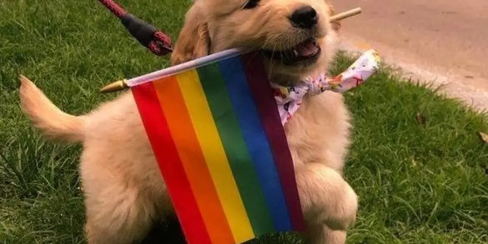 Imagem do grupo de WhatsApp 𝑲𝒊𝒏𝒈 𝒂𝒏𝒅 𝑸𝒖𝒆𝒆𝒏  👑