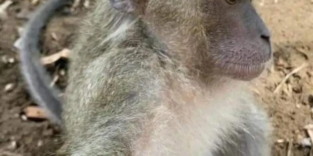 Imagem do grupo de WhatsApp 𝑻𝑯𝑬 𝑩𝑬𝑺𝑻 𝑪𝑯𝑨𝑻  🙈