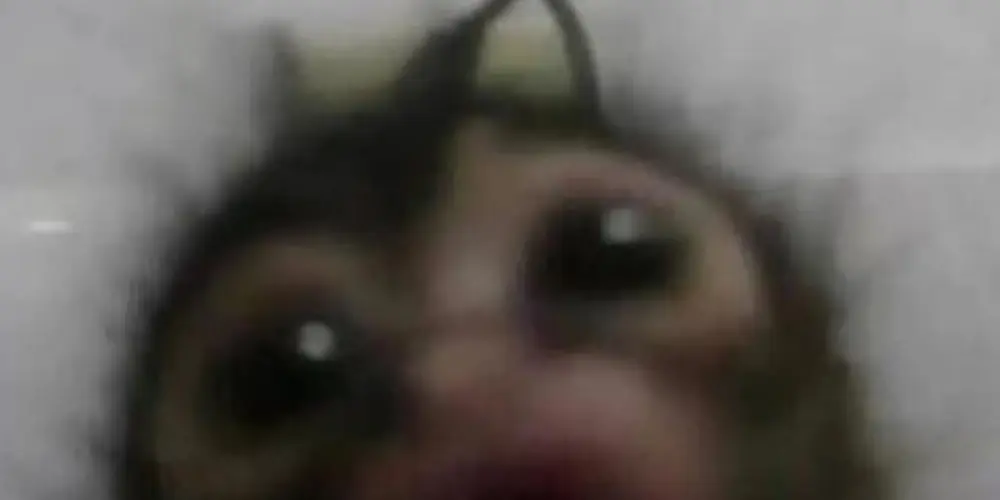 Imagem do grupo de WhatsApp 𝑨𝑪𝑨𝑫𝑺𝑬𝑿🎀