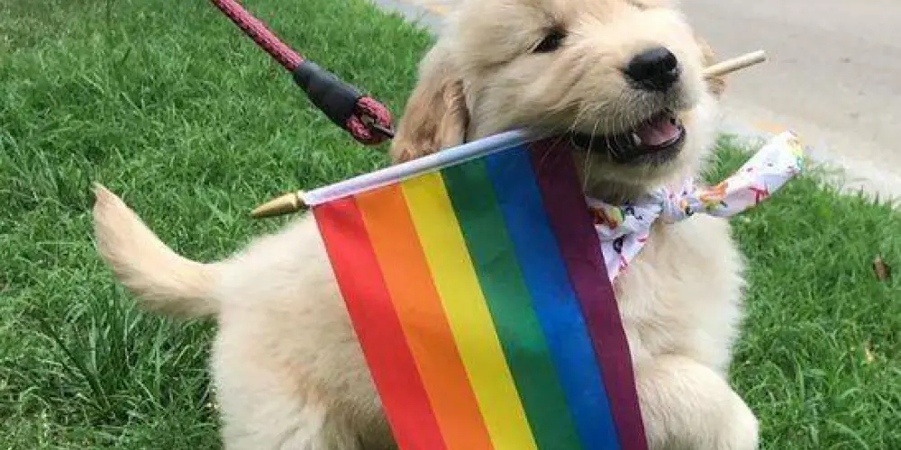 Imagem do grupo de WhatsApp 𝐂𝐨𝐧𝐞𝐱𝐚̃𝐨 𝐂𝐨𝐥𝐨𝐫𝐢𝐝𝐚 ⏤͟͟͞͞🏳‍🌈