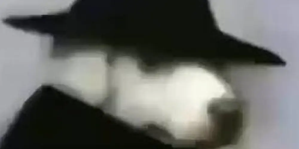 Imagem do grupo de WhatsApp 𝙋𝘼𝙍𝘼𝙄𝙎𝙊 ☁️ 𝙎𝙀𝙈 𝙇𝙀𝙄