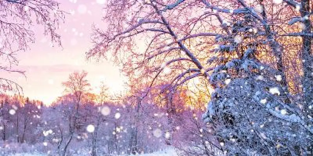 Imagem do grupo de WhatsApp 𝔽𝕣𝕠𝕫𝕖𝕟 ℂ𝕙𝕒𝕥