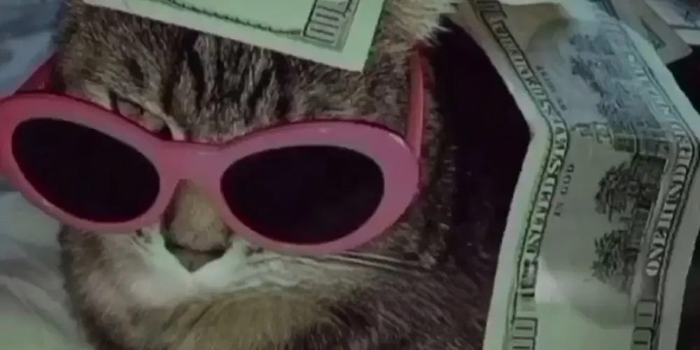 Imagem do grupo de WhatsApp ☠︎︎𝕞𝕒𝕕𝕒𝕘𝕒𝕤𝕔𝕒𝕣☠︎