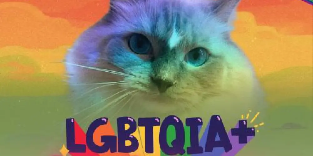 Imagem do grupo de WhatsApp 🌈 🅿🆁🅸🅳🅴 🅽🅰🆃🅸🅾🅽