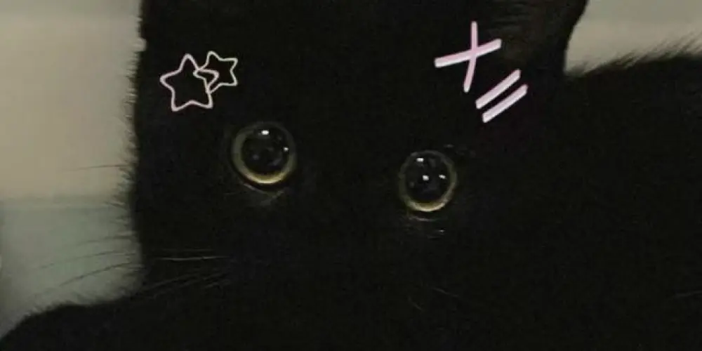 Imagem do grupo de WhatsApp 𝐂𝐇𝐀𝐓 𝐃𝐀 𝐀𝐌𝐈𝐙𝐀𝐃𝐄 🎀