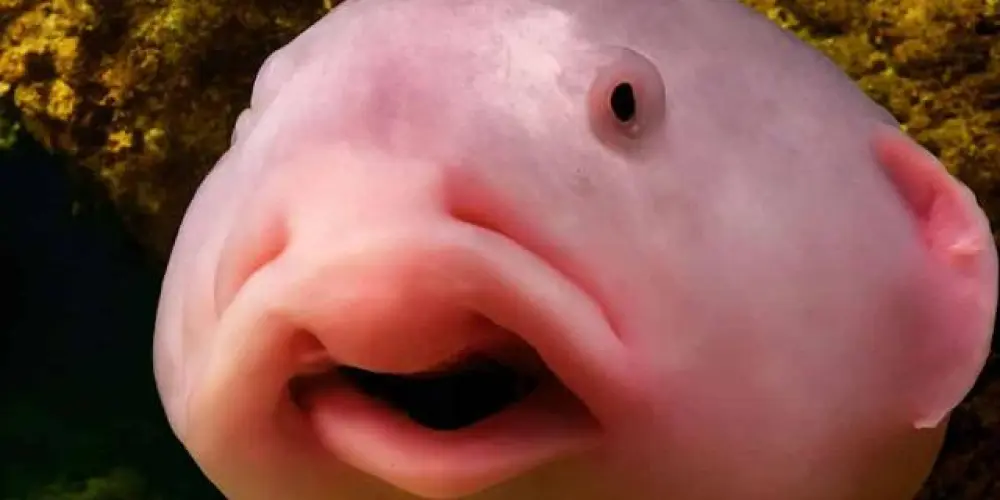 Imagem do grupo de WhatsApp 𝐆𝐫𝐮𝐩𝐨 𝐝𝐞 𝐧𝐚𝐦𝐨𝐫𝐨 💌🔥