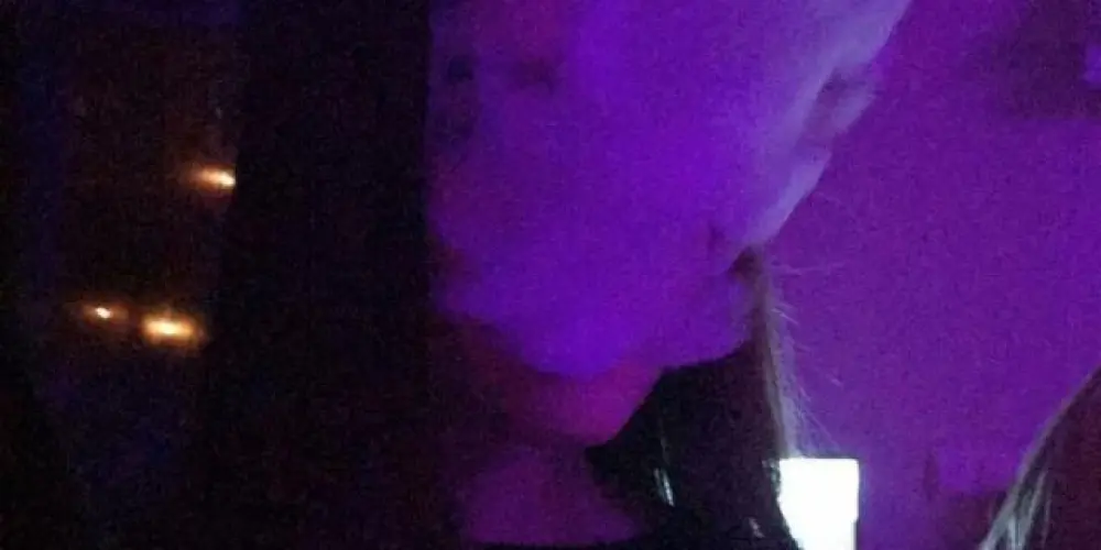 Imagem do grupo de WhatsApp 𝖛𝖎𝖙𝖎𝖓𝖝𝖘 𝖛𝖒𝖙