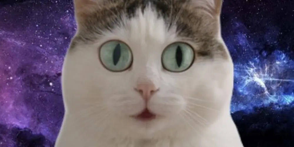 Imagem do grupo de WhatsApp 𝗨𝗡𝗜𝗩𝗘𝗥𝗦𝗢 𝗗𝗔𝗦 𝗙𝗜𝗚𝗨𝗥𝗜𝗡𝗛𝗔𝗦 🪐☄️🌎⚡