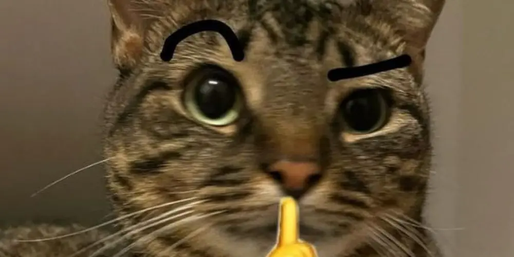 Imagem do grupo de WhatsApp 𝐀𝐦𝐢𝐳𝐚𝐝𝐞𝐬 𝐯𝐞𝐫𝐝𝐚𝐝𝐞𝐢𝐫𝐚𝐬❤🕷