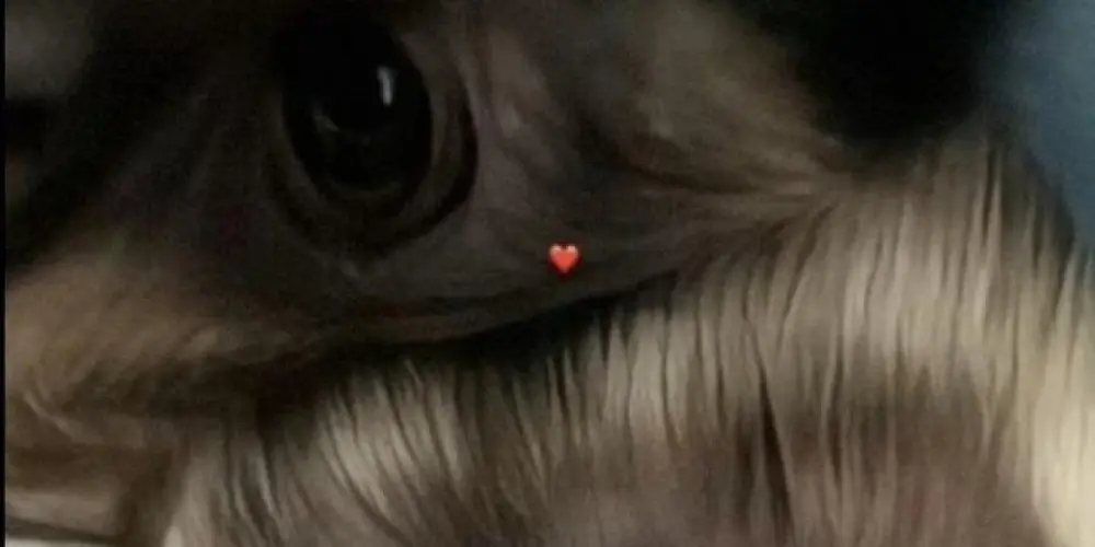 Imagem do grupo de WhatsApp 𝐆𝐑𝐀𝐍𝐃𝐄𝐒 𝐀𝐌𝐈𝐆𝐎𝐒