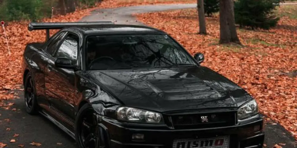 Imagem do grupo de WhatsApp 𝙳𝚎𝚕𝚞𝚡𝚎 𝙱𝚁