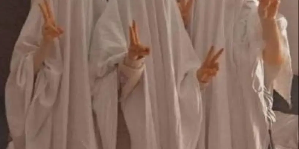 Imagem do grupo de WhatsApp ༺Ａｍｉｚａｄｅﾠｖｅｒｄａｄｅｉｒａ༻