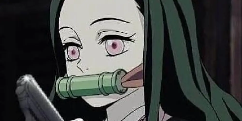 Imagem do grupo de WhatsApp 🅝.🅔.🅦  🅞.🅡.🅓.🅔.🅜 ⓿.❺🐲