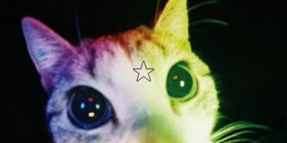 Imagem do grupo de WhatsApp 𝑮𝑻 𝑮𝑶𝑳𝑫☁︎