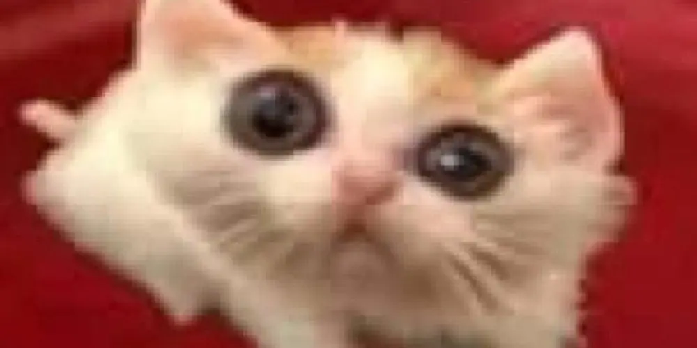 Imagem do grupo de WhatsApp 𝕬𝖒𝖎𝖟𝖆𝖉𝖊𝖘 𝖛𝖎𝖗𝖙𝖚𝖆𝖑👾