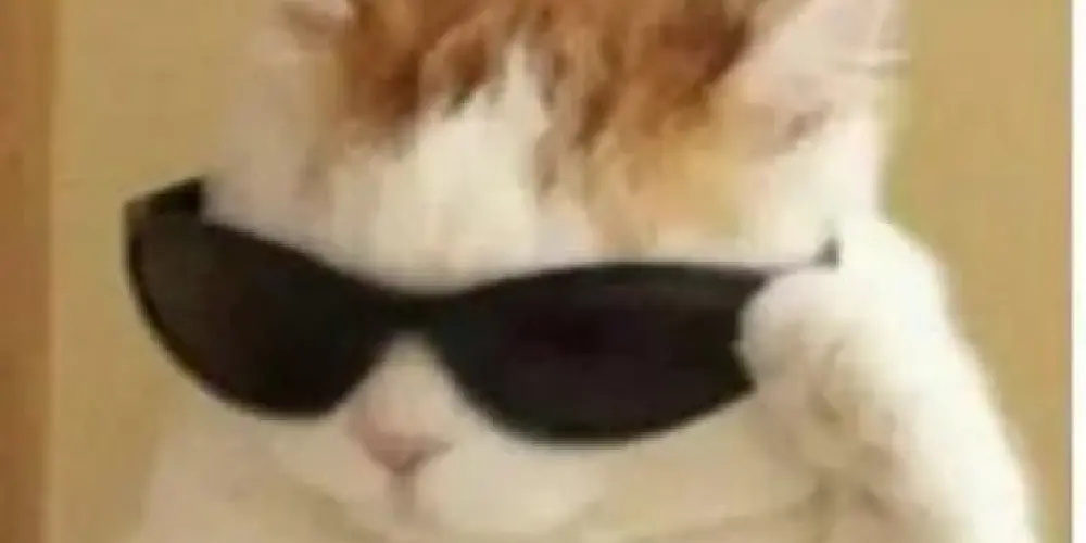 Imagem do grupo de WhatsApp 「 𝐂𝐀𝐏𝐒 𝟐𝟒𝐇 」🫦