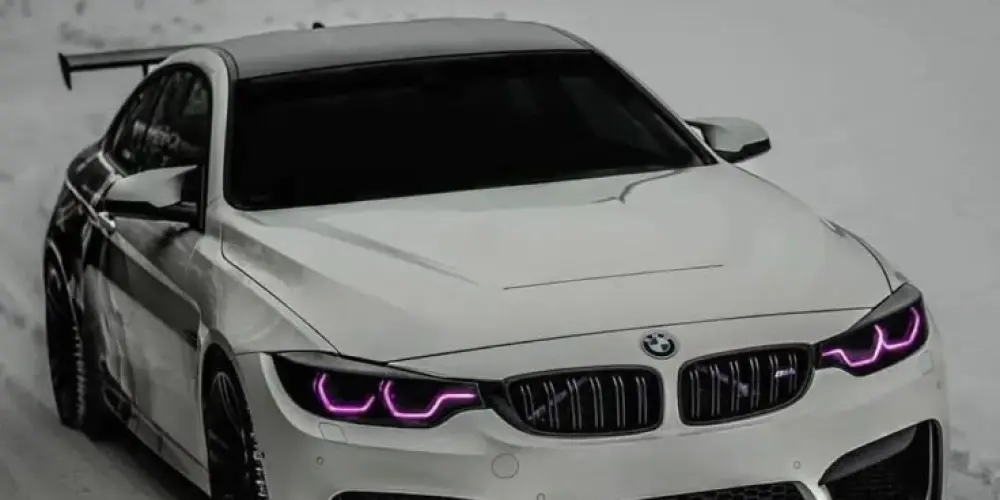 Imagem do grupo de WhatsApp ꧁⚔ 𝕯𝖗𝖊𝖆𝖒 𝖘𝖈𝖆𝖒 ⚔꧂