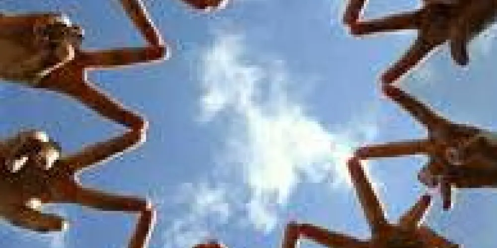 Imagem do grupo de WhatsApp 𝖗𝖊𝖘𝖊𝖓𝖍𝖆 𝖘𝖊𝖒 𝖑𝖎𝖒𝖎𝖙𝖊🤪