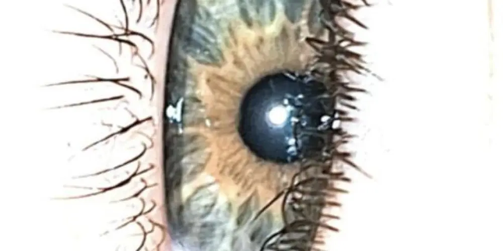 Imagem do grupo de WhatsApp •𝐎𝐬 𝐦𝐢́𝐝𝐢𝐚 🎰