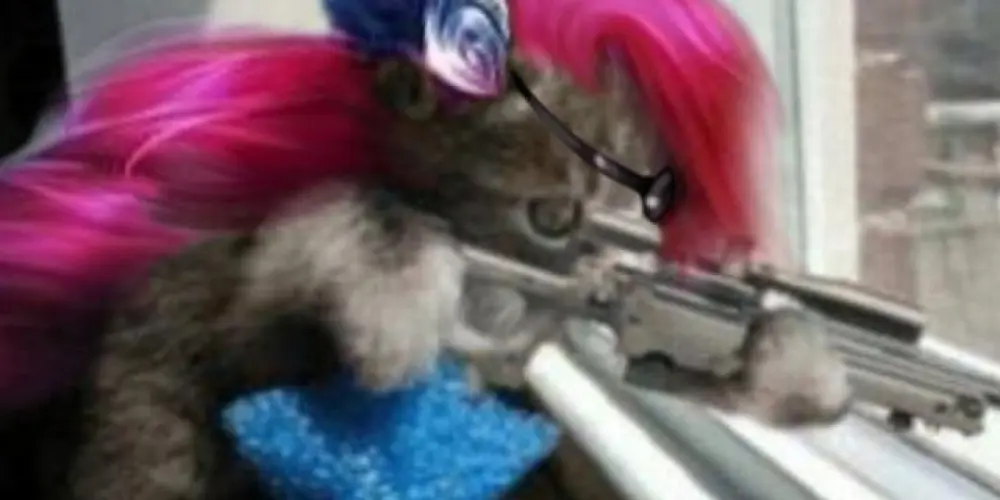 Imagem do grupo de WhatsApp ✨𝙍𝙖𝙣𝙠𝙚𝙤𝙪 𝙣𝙤 𝙇𝙚𝙣𝙜𝙨, 𝘾𝙝𝙤𝙧𝙤𝙪 𝙣𝙤 𝙕𝙖𝙥✨