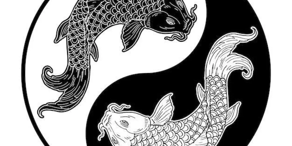 Imagem do grupo de WhatsApp 𝖘𝖔 𝕻𝖗𝖔𝖌𝖗𝖊𝖘𝖘𝖔✨👑