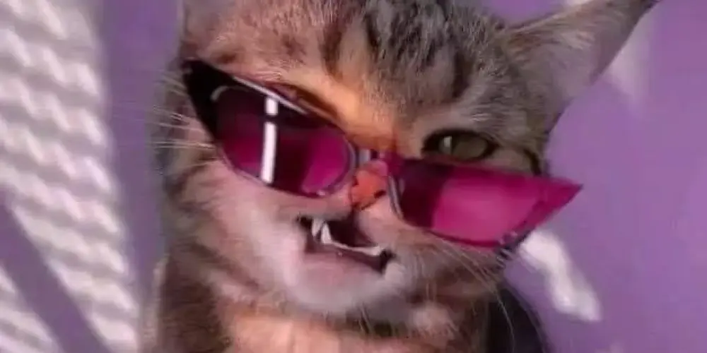 Imagem do grupo de WhatsApp ꧁❤•༆ᏢᎡϟꋊᏣᎬᏕ༆•❤꧂,