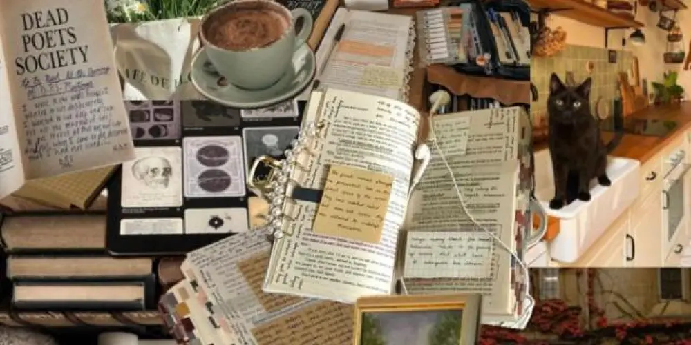 Imagem do grupo de WhatsApp ✨🪐𝑼𝒏𝒊𝒗𝒆𝒓𝒔𝒆 𝑶𝒇 𝑩𝒐𝒐𝒌𝒔🪐✨